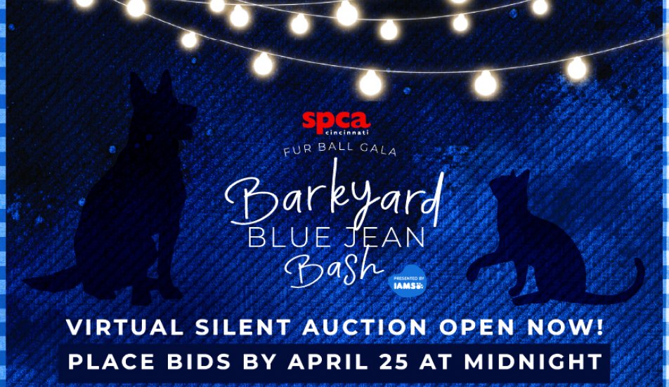Fur Ball Gala Silent Auction 